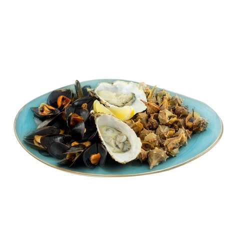 Complete seafood combination plate