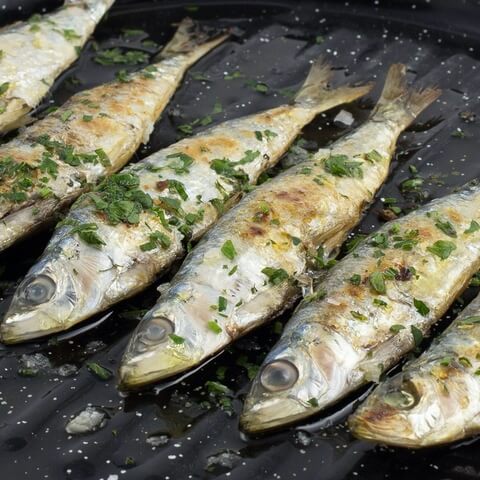 Grilled sardines
